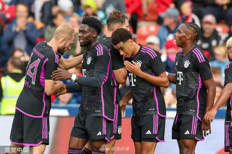 仅体现了顽 仅体现了顽